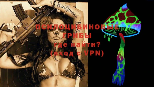 мдпв Вязники