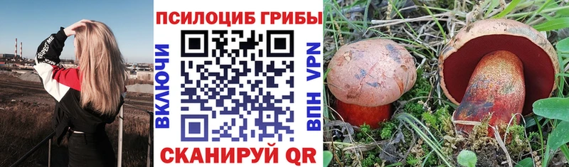 Псилоцибиновые грибы GOLDEN TEACHER  Купить закладки  Райчихинск 