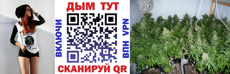 Купить  Райчихинск  Канабис THC 21% 